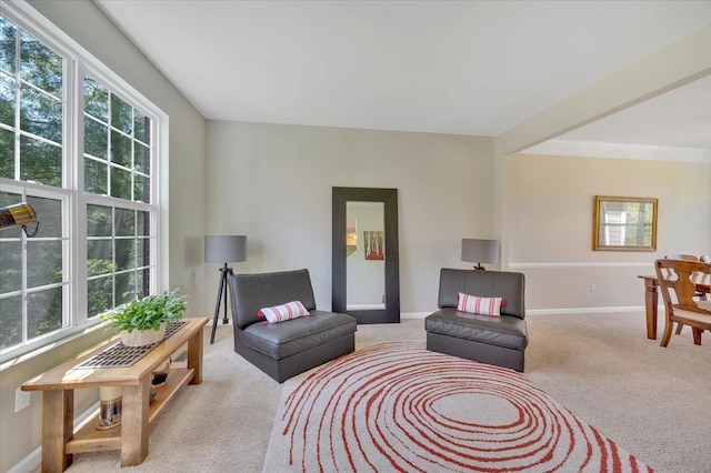 1060 Tinley Blvd, Oxford, MI 48371 - living area with carpet and baseboards