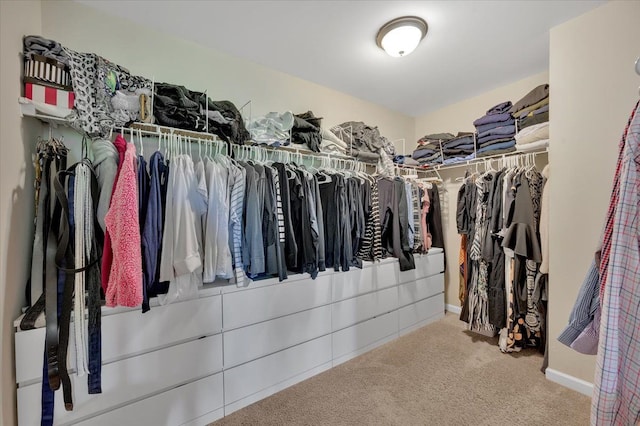 1060 Tinley Blvd, Oxford, MI 48371 - spacious closet featuring carpet