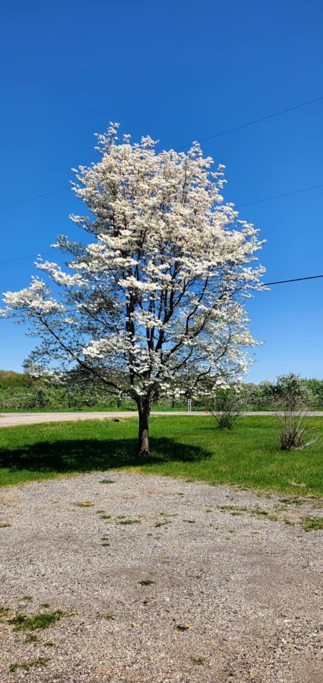 700 S Arent Rd, Watervliet, MI 49098 - view of community