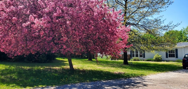 700 S Arent Rd, Watervliet, MI 49098 - view of property's community with a yard
