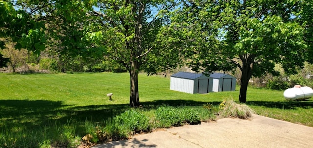 700 S Arent Rd, Watervliet, MI 49098 - view of grassy yard with a storage shed and an outbuilding