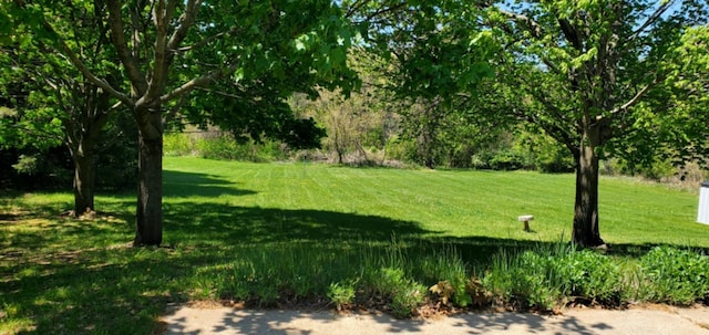 700 S Arent Rd, Watervliet, MI 49098 - view of green lawn