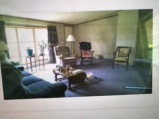 700 S Arent Rd, Watervliet, MI 49098 - living area with carpet flooring