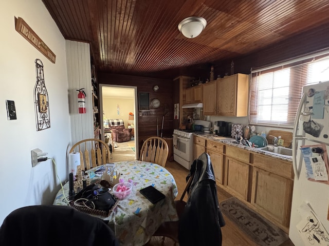 127 N Camburn St, Stanton, MI 48888 - dining room featuring wood ceiling