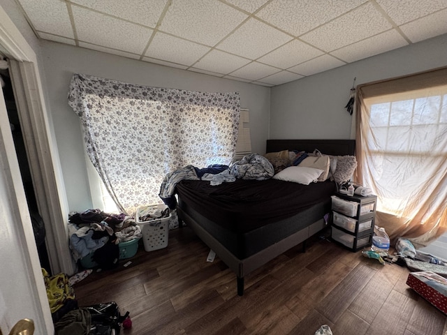 127 N Camburn St, Stanton, MI 48888 - bedroom with a paneled ceiling, dark wood finished floors, and multiple windows