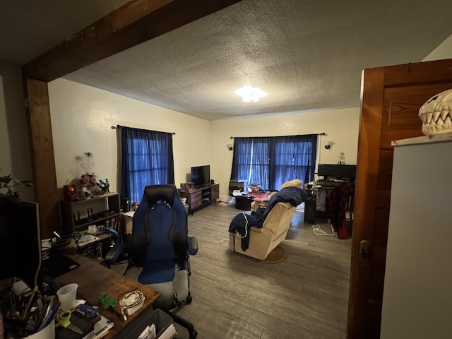 127 N Camburn St, Stanton, MI 48888 - office area featuring wood finished floors and a textured ceiling