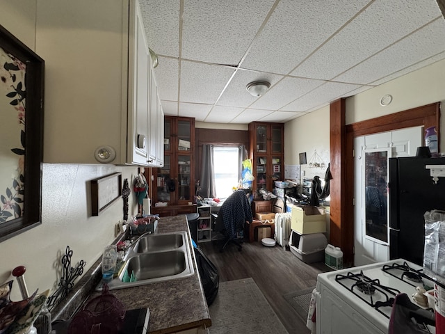 127 N Camburn St, Stanton, MI 48888 - kitchen featuring a sink, white gas range oven, freestanding refrigerator, dark wood-type flooring, and a drop ceiling