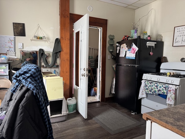 127 N Camburn St, Stanton, MI 48888 - kitchen with white gas range oven, dark wood-type flooring, freestanding refrigerator, and a drop ceiling