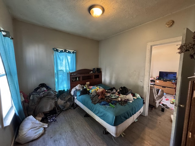 127 N Camburn St, Stanton, MI 48888 - bedroom with wood finished floors and a textured ceiling