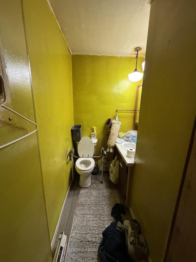 127 N Camburn St, Stanton, MI 48888 - bathroom featuring vanity, wood finished floors, and toilet