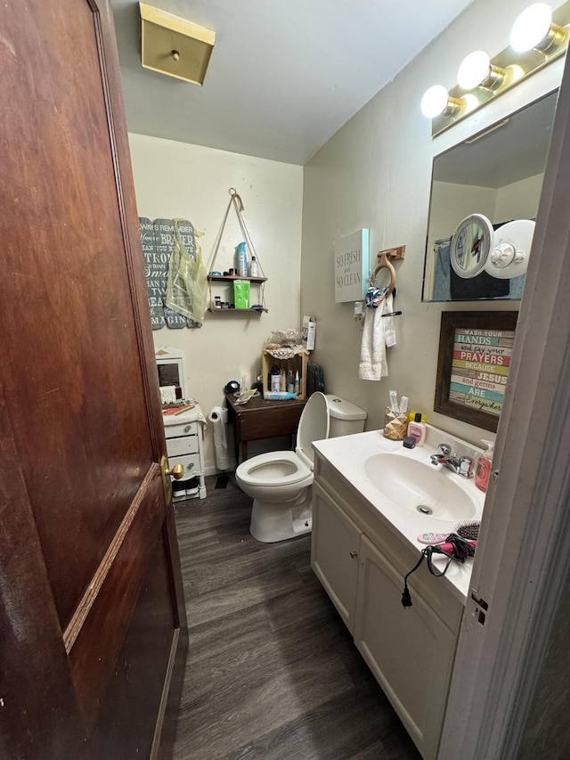 127 N Camburn St, Stanton, MI 48888 - bathroom featuring wood finished floors, toilet, and vanity