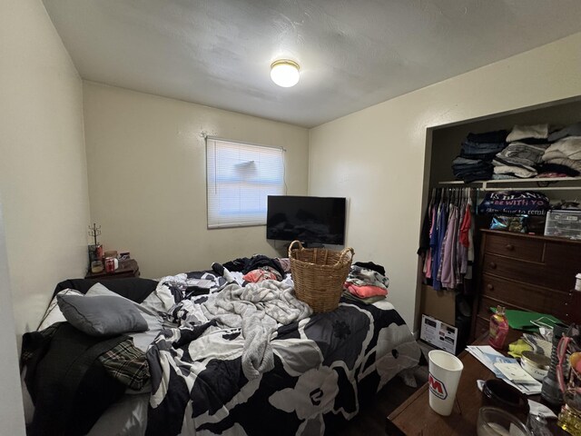 190 E Sidney Rd, Stanton, MI 48888 - bedroom with a closet