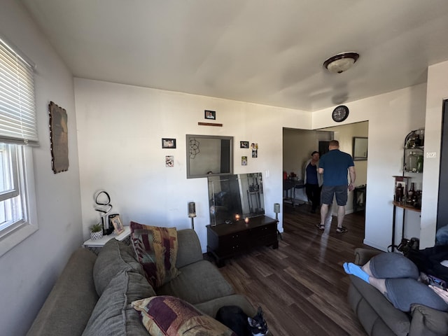 190 E Sidney Rd, Stanton, MI 48888 - living area with dark wood-type flooring