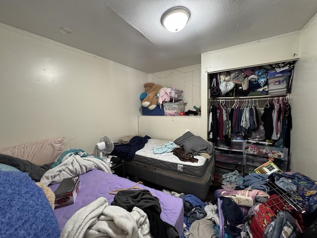 190 E Sidney Rd, Stanton, MI 48888 - bedroom featuring a closet and a textured ceiling