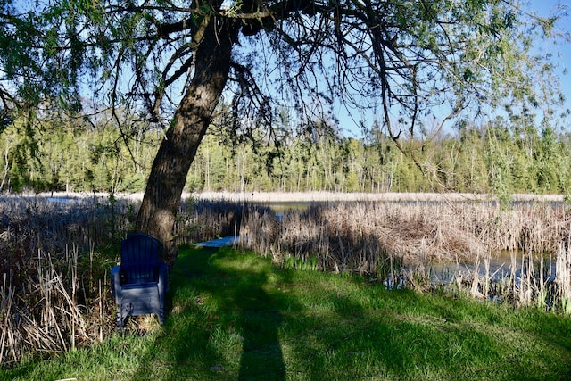 view of yard with a view of trees