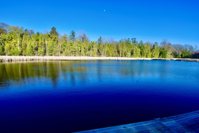 water view featuring a forest
