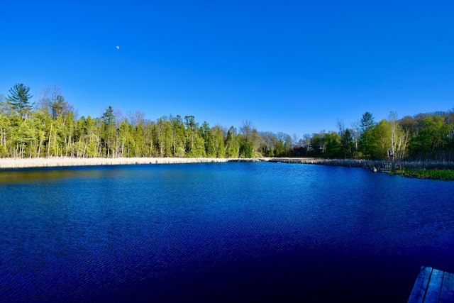 water view with a forest
