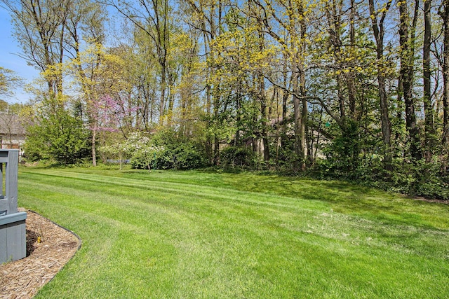 view of grassy yard