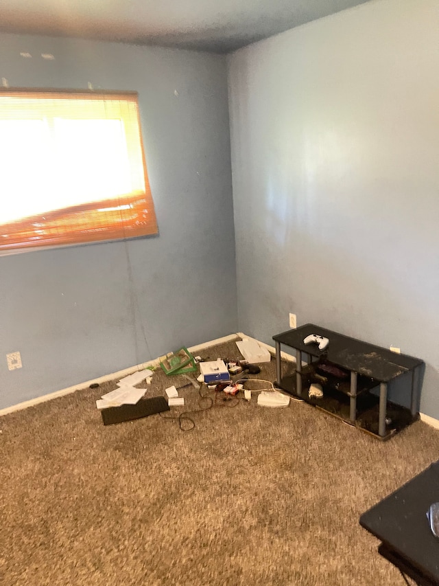 20225 Ledgestone St, Southfield, MI 48076 - carpeted spare room with baseboards