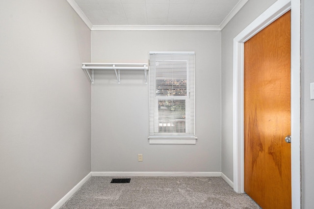walk in closet featuring carpet flooring