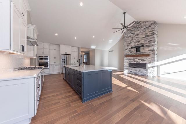 5535 W Huron River Dr, Dexter, MI 48130 - kitchen with a sink, ceiling fan, white cabinets, a stone fireplace, and appliances with stainless steel finishes