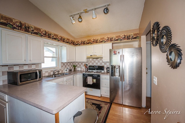 2721 Rum Creek Dr SE, Kentwood, MI 49508 - kitchen with appliances with stainless steel finishes, a sink, lofted ceiling, under cabinet range hood, and backsplash