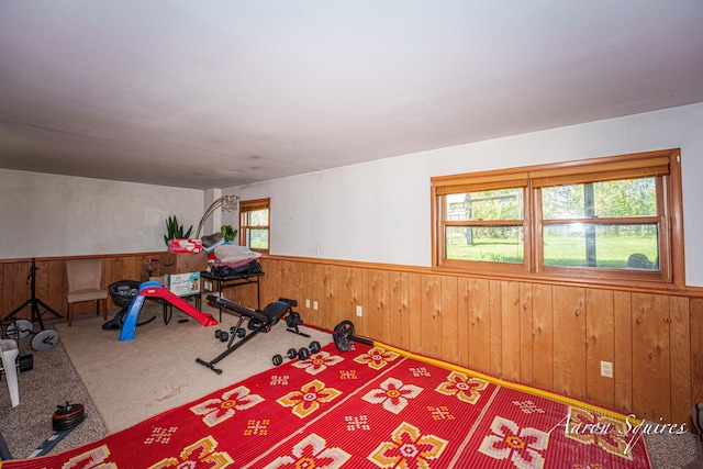 2721 Rum Creek Dr SE, Kentwood, MI 49508 - workout area with healthy amount of natural light, wood walls, wainscoting, and carpet floors