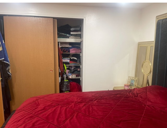 bedroom featuring a closet and a spacious closet