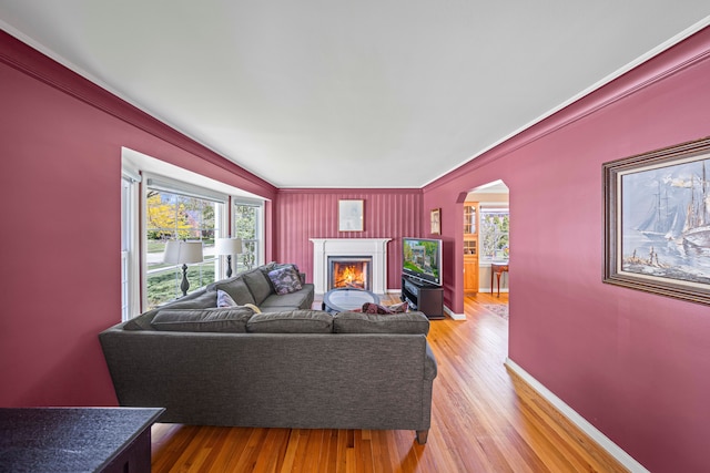 living area with crown molding, healthy amount of natural light, arched walkways, a lit fireplace, and light wood finished floors
