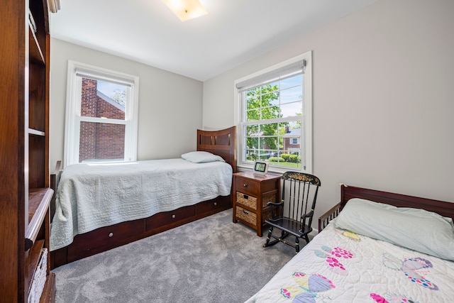 bedroom with multiple windows and carpet flooring