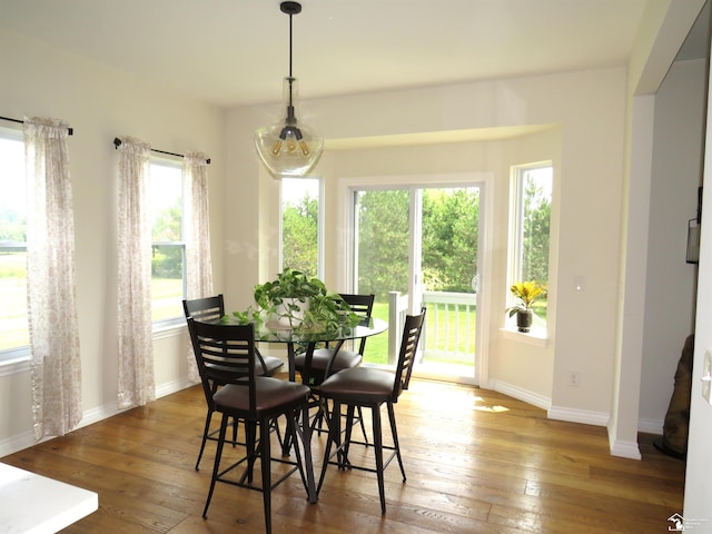 465 Corinth Cir, Dundee, MI 48131 - dining space with wood-type flooring and baseboards