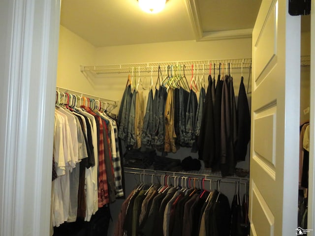 465 Corinth Cir, Dundee, MI 48131 - view of spacious closet