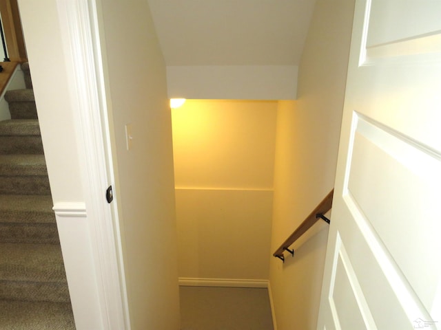 465 Corinth Cir, Dundee, MI 48131 - staircase with carpet