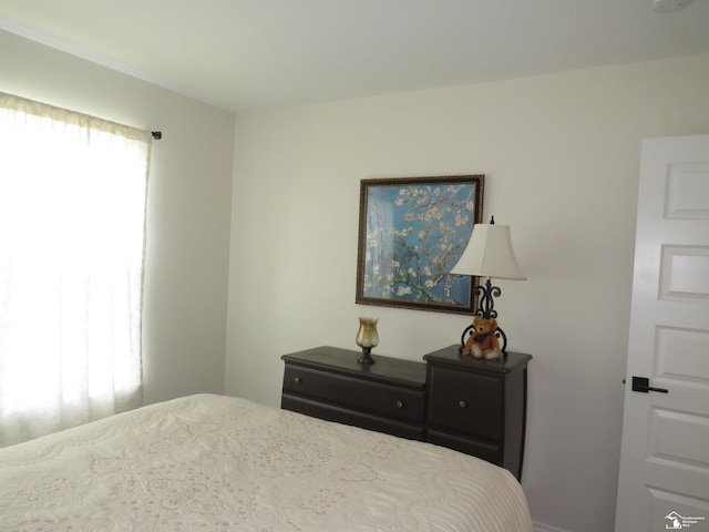 465 Corinth Cir, Dundee, MI 48131 - view of bedroom