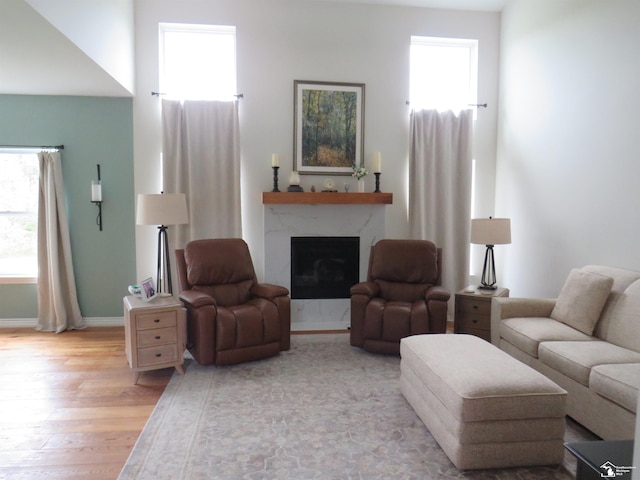 465 Corinth Cir, Dundee, MI 48131 - living area with light wood-style flooring, a premium fireplace, and plenty of natural light