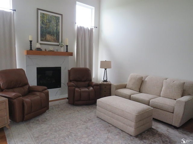 465 Corinth Cir, Dundee, MI 48131 - living room featuring a premium fireplace and light wood-style flooring