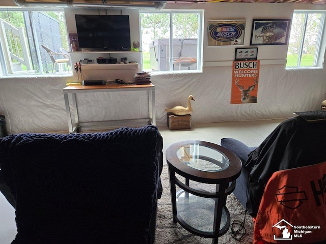 465 Corinth Cir, Dundee, MI 48131 - view of living area