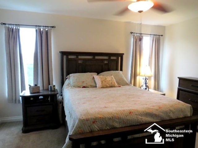 465 Corinth Cir, Dundee, MI 48131 - photo 60