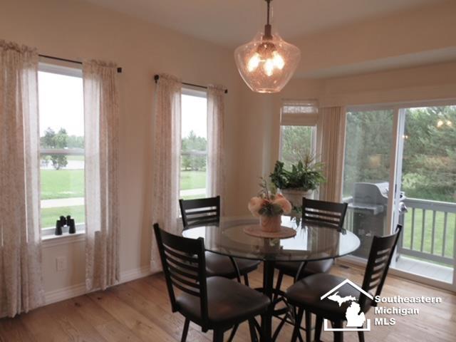 465 Corinth Cir, Dundee, MI 48131 - photo 45
