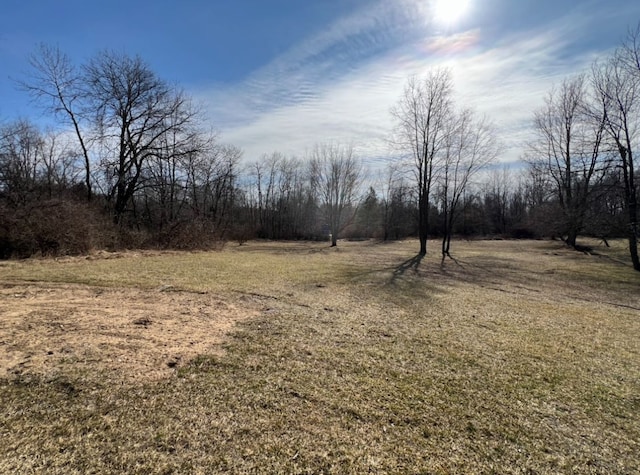 7368 Clear Lake Rd, Imlay City, MI 48444 - view of nature
