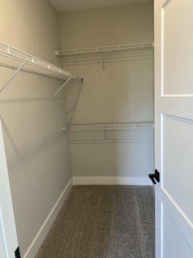 spacious closet with carpet flooring