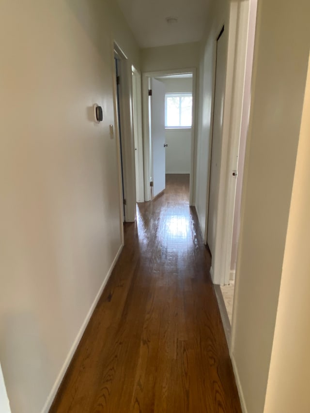 657 Highland Ave, Lincoln Park, MI 48146 - hallway featuring dark wood-style floors and baseboards