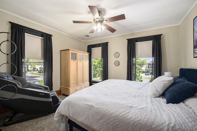 210 E St, Three Rivers, MI 49093 - carpeted bedroom featuring multiple windows, crown molding, and a ceiling fan
