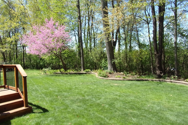 3163 W Ridge Ct, Commerce Twp, MI 48390 - view of grassy yard