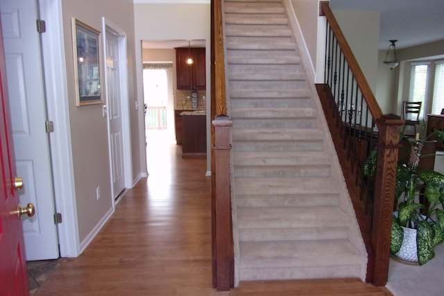 3163 W Ridge Ct, Commerce Twp, MI 48390 - stairway featuring wood finished floors and baseboards