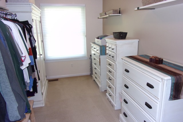 3163 W Ridge Ct, Commerce Twp, MI 48390 - walk in closet with light carpet