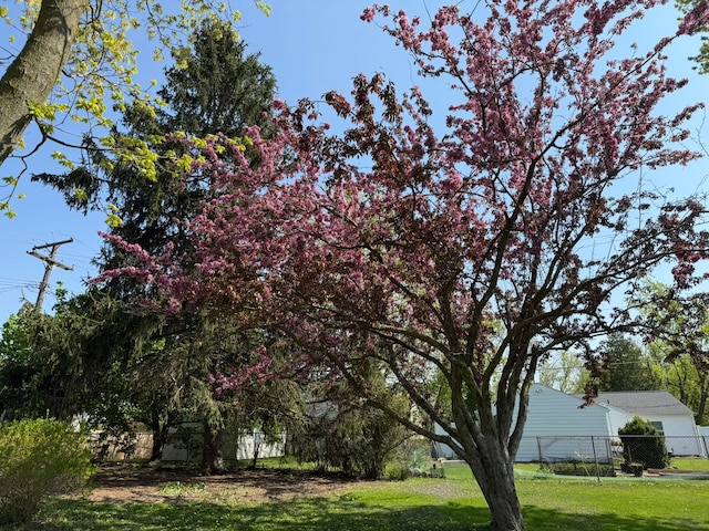 27 Turrill Ave, Lapeer, MI 48446 - view of yard