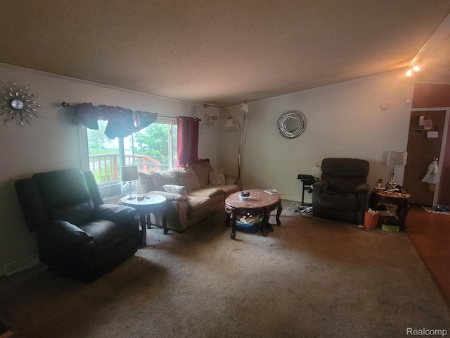 3092 Durant Hts, Grand Blanc, MI 48507 - living area featuring carpet floors and a textured ceiling