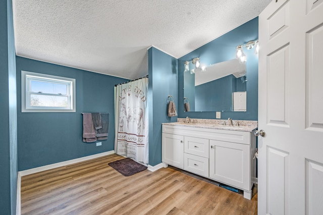 3311 5 Mile Rd, Sears, MI 49679 - full bath with a textured ceiling, wood finished floors, double vanity, baseboards, and a shower with curtain