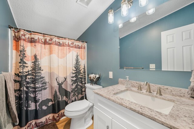 3311 5 Mile Rd, Sears, MI 49679 - bathroom featuring a textured ceiling, vanity, toilet, wood finished floors, and lofted ceiling